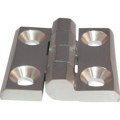Scharnier Anschraubscharnier Edelstahl Inox 50 x 50 mm 270° AISI 316