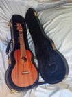 Maton Concert Ukulele with pickup