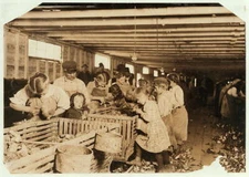 8" x 10"  1911 child labor photo: Rosy, an eight-year-old oyster shucker