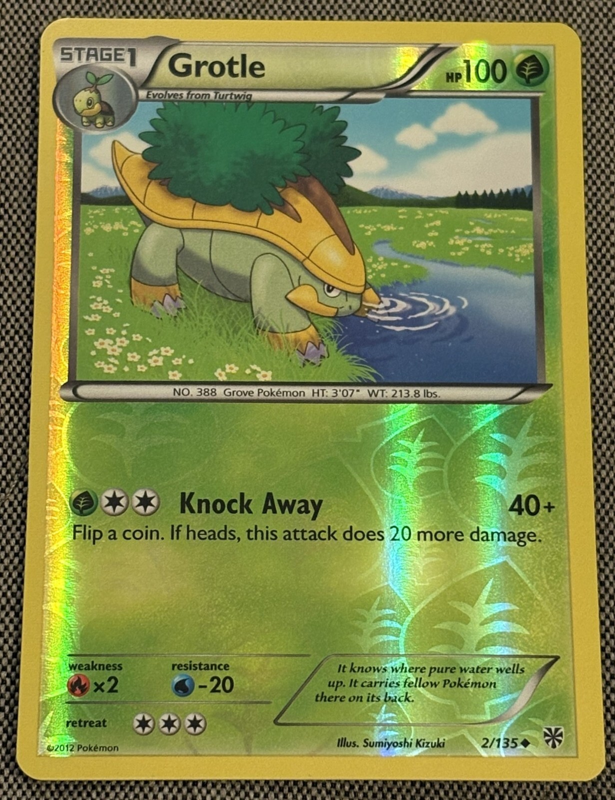 Grotle 2/135 Reverse Holo NM - 2012 Pokemon Plasma Storm