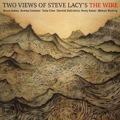 Ackley-chen-centazzo-degruttol - Two Views Of Steve Lacys The Wire [CD]