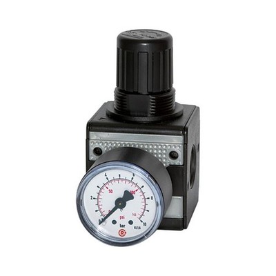 Riegler RP 11-10, Precision Pressure Regulator »multifix« Size 1, G 1/4, 100456