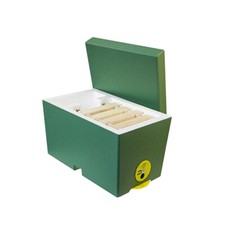 Kompakter Polystyrol-Bienenstock für die Königinnenzucht (GRÜN)