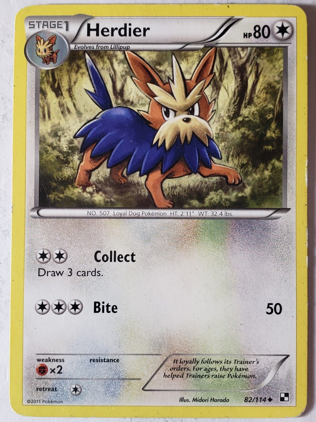 Herdier 82/114 PL - Black White Pokemon Card - $2 Combined Shipping