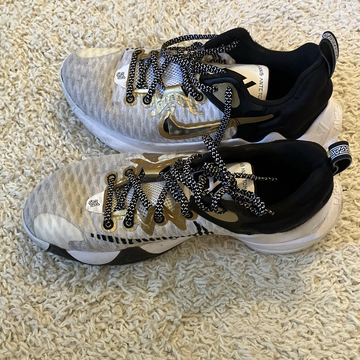 Nike Giannis Immortality Championship CZ4099-100 Mens Size 12 US (N011004) GS) Nike Giannis Immortality 4  main image 2
