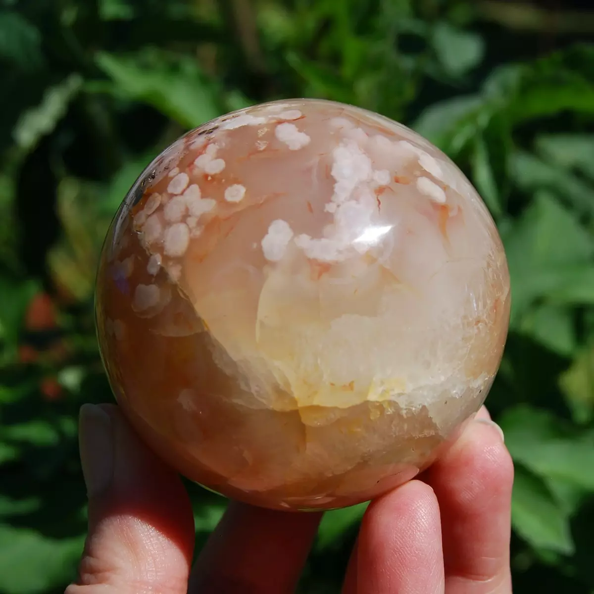 67mm 1lb Peach Pink Sakura Flower Agate Crystal Sphere Crystalline Sakura Agate