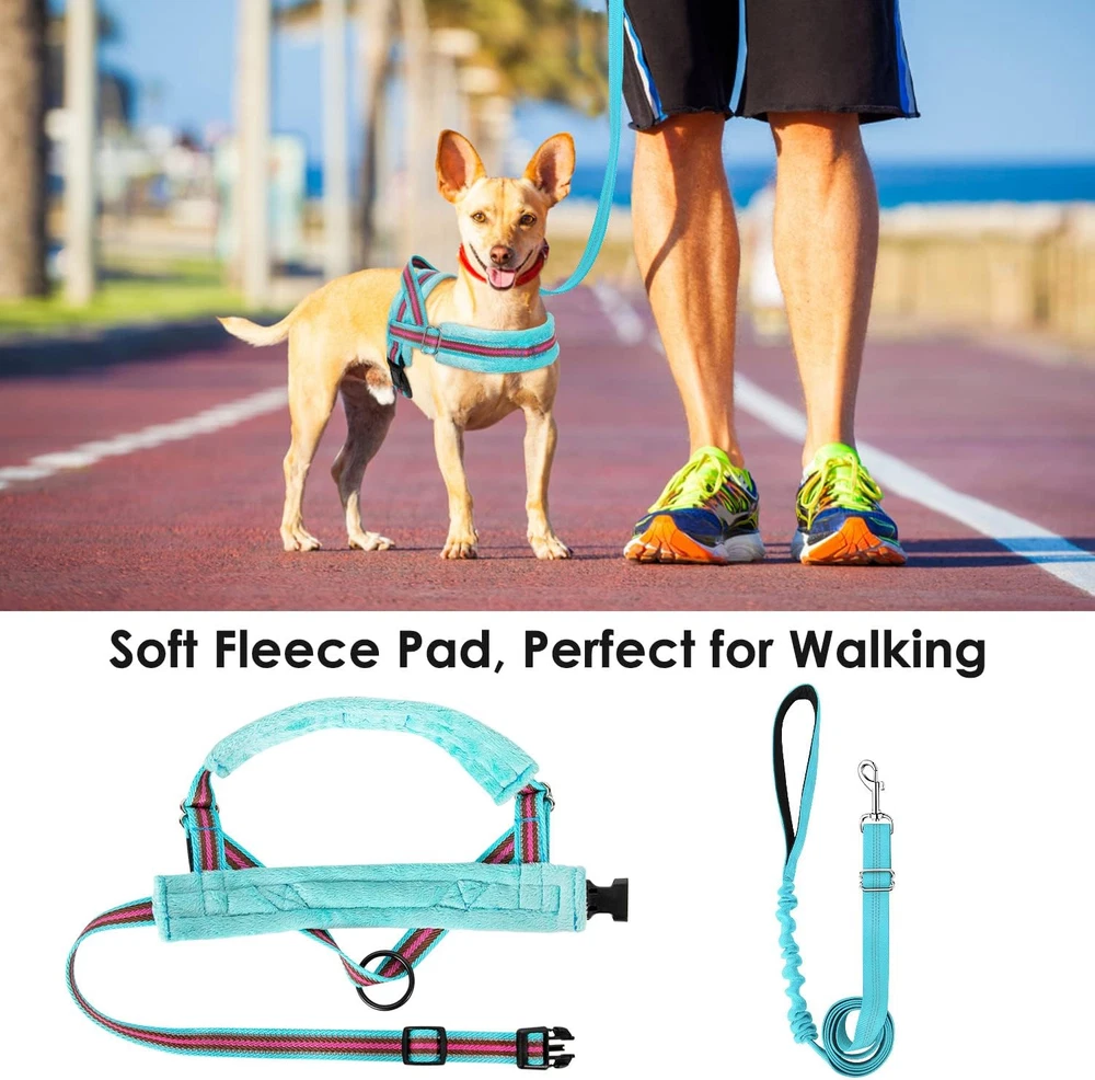 Dog Harness and Leash Set, Soft Padded Small Dog Harness, Neck & Chest Adjustabl