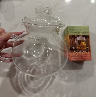 Primula Glass Teapot and Sealed Box Of Numi Flowering Tea