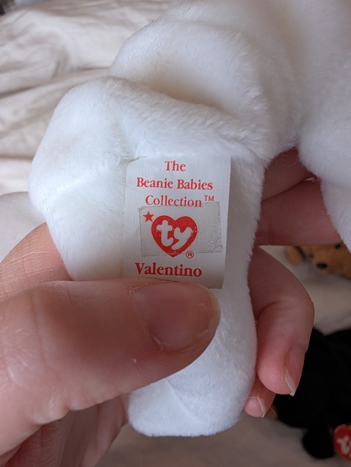 TY Early Run Valentino the Bear  1993/94  Brown NOSE RARE Beanie Baby thumbnail 6
