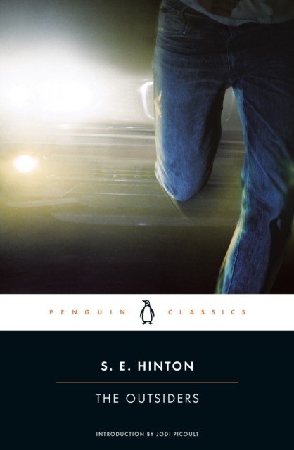 The Outsiders by S E Hinton PAPERBACK 9780143039853