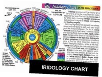 Iridology Chart Of Eye Reflexology (rainbow Coded), New, Free Shipping Iridology Chart Of Eye Reflexology (rainbow Coded), New, Free Shipping