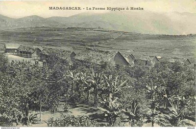 Alte AK - Land - Madagaskar - Hoaka - Der Pferdehof - CPA - V