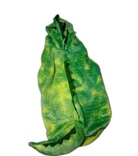 Dinosaur Dog Halloween Costume