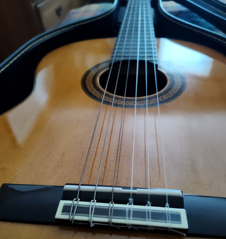 Yamaha G-231II Classical Guitar 6 String Brown Right-Handed 19 Frets w/ Case