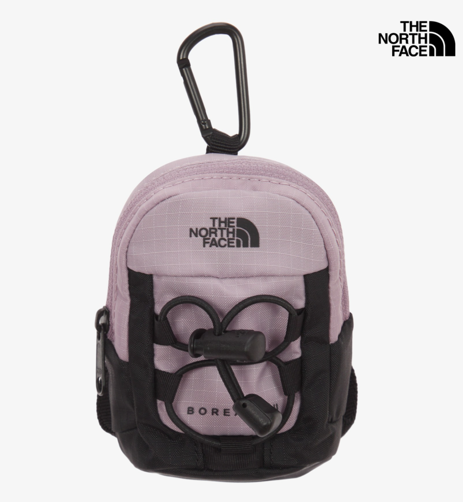【arinnieさま専用】THE NORTH FACE The North Face Mini Borealis Pouch Keyring Keychain Accessory NWT