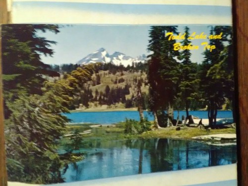 VINTAGE POST CARD TODD LAKE & BROKEN TOP CASCADE RANGE OREGON - Picture 9 of 12