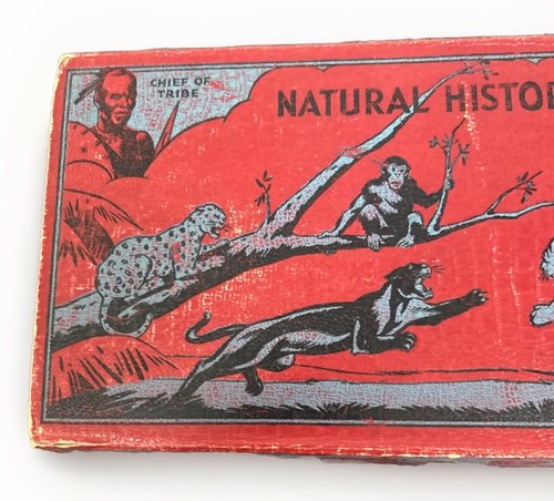 1930s Pencil Case Natural History Eberhard Faber Lions Tigers Bears Trophies - Picture 3 of 10
