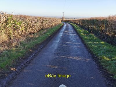 Photo 12x8 Curry Mallet : Staundle Lane Looking along the lane. c2022