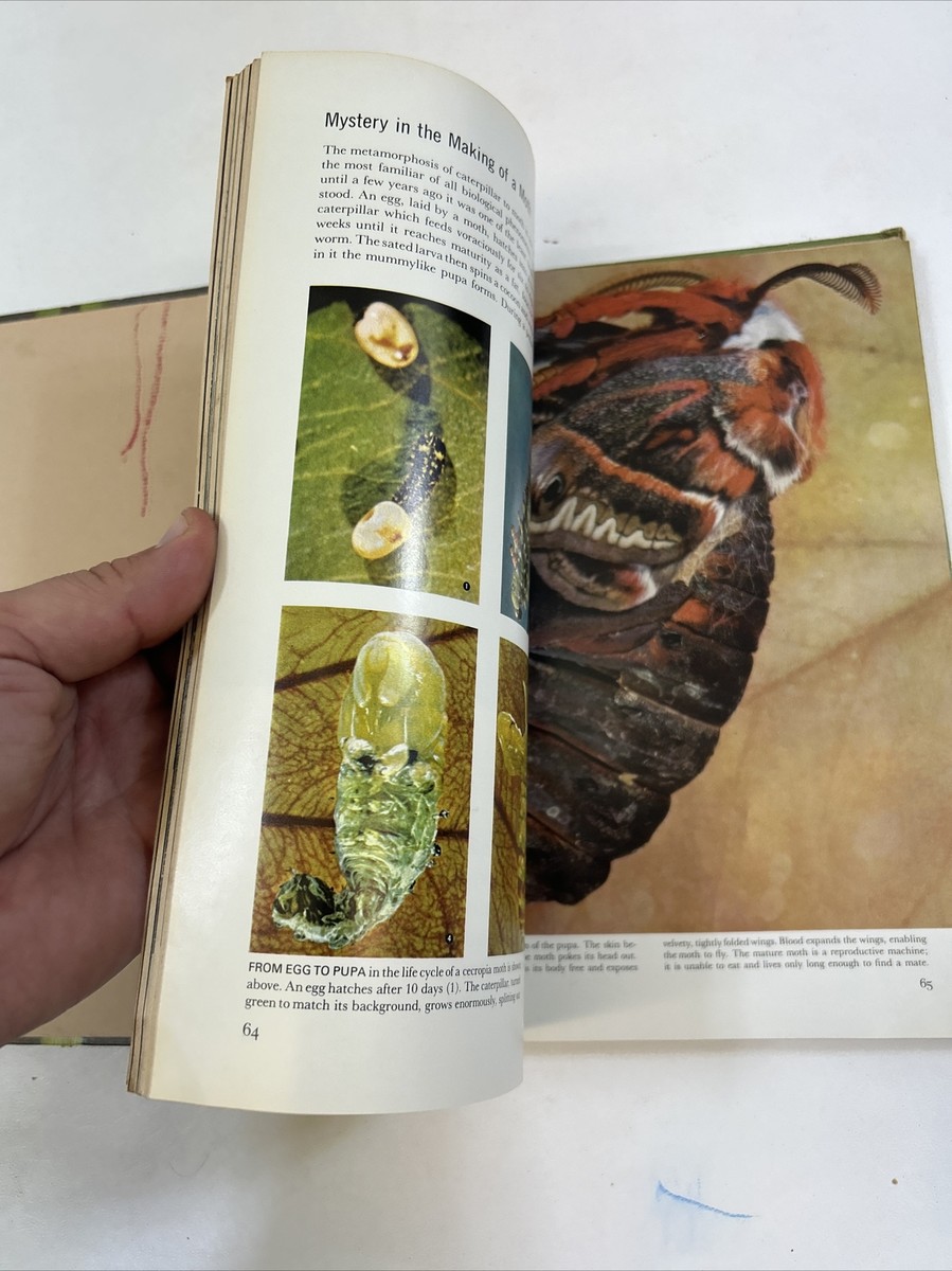 Set of 25 - LIFE Nature Library, Vol. 1-25 (Hardcover Set of 25 - LIFE Nature Library, Vol. 1-25 (Hardcover