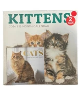 2026 KITTENS 12” X 24” & CATS 12 Month 6” X 12” Wall Calendars Pack