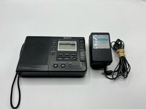 Sony Icf Sw100 | eBay