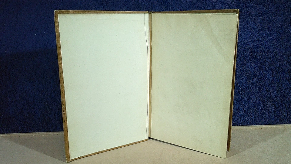 CAPTAIN RALPH BONEHILL (EDWARD STRATEMEYER) OFF FOR HAWAII FLAG FREEDOM 1899 - Image 3 of 4