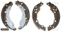 Triscan 810010009 Bremsbackensatz 4 Bremsbacken Trommelbremse