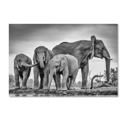 1X00411-C2232GG Canvas Art, 22x32