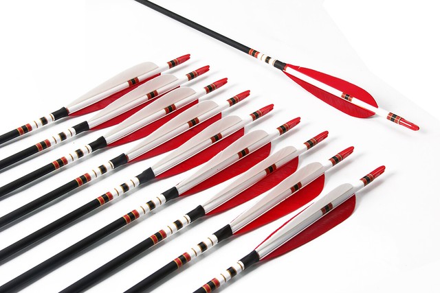 sirius rowing machine