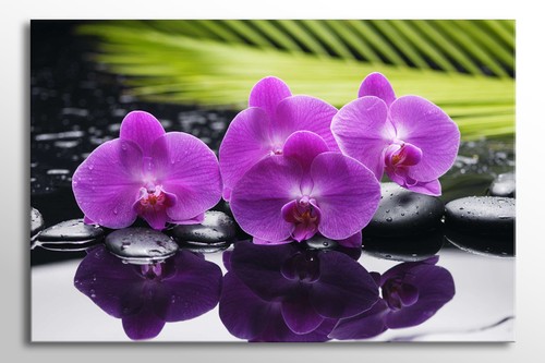 36"x24" TELA ARTE DA PARETE PIETRE ZEN FIORI VIOLA IN ACQUA NUOVA STAMPA A1 - Foto 2 di 2
