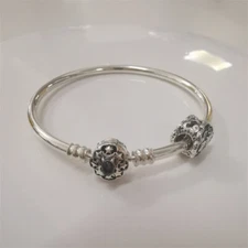 Pandora S925 ALE Aladdin and Jasmine Charm and Bangle Set