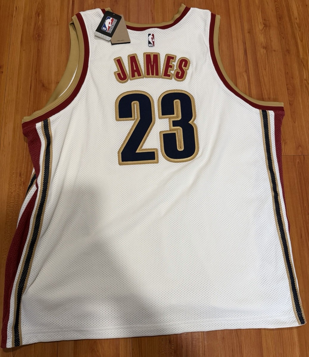 Rookie Year Lebron James Mens Nike Dri-FIT Knitted NBA Jersey