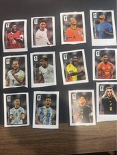 Complete Guide to Panini World Cup Sticker Albums 30
