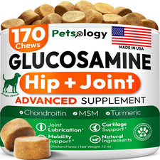 Glucosamine for Dogs - Hip and Joint Supplement for Dogs - 170 Mobility Chews -