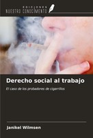 Janikel Wilmsen | Derecho Social Al Trabajo | Taschenbuch | Spanisch (2024)