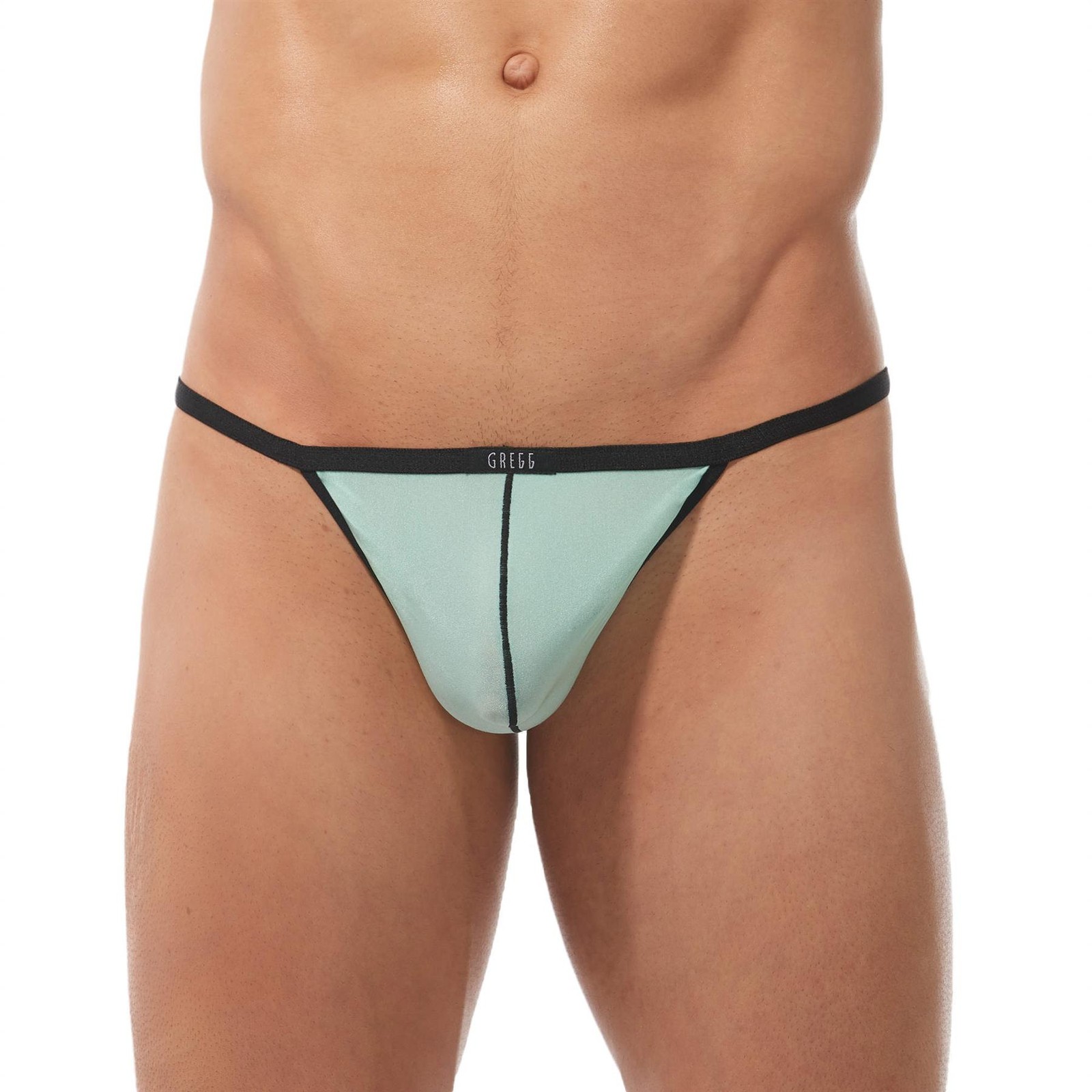 Gregg Homme Torridz String Mint men's thong underwear see through pouch