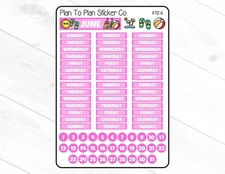 4112-6~~June Journal Planner Stickers.