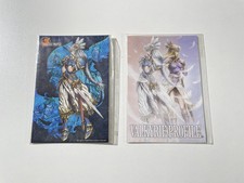 Goodies Lot 2 postcards Valkyrie Profile JAP Neuf