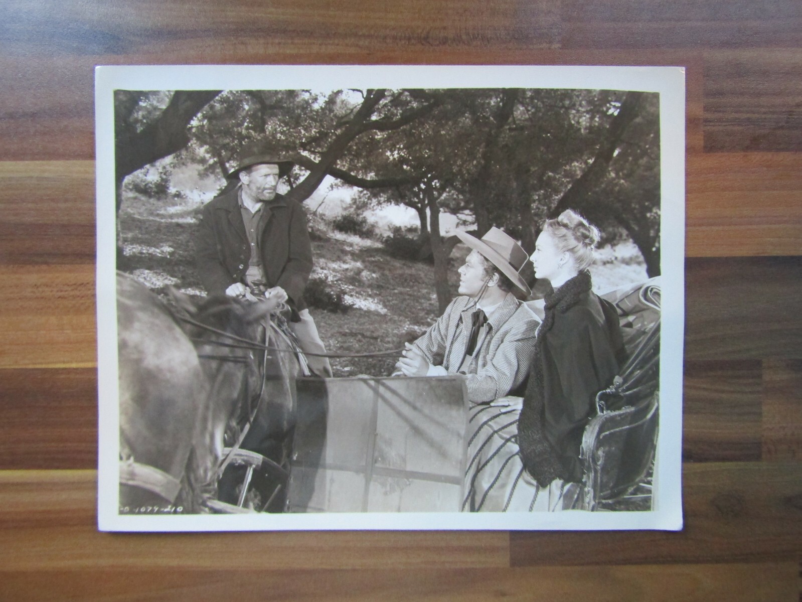 Picture 1