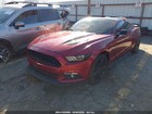 Foto 14 di 24