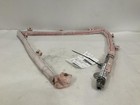 2015-2019 Porsche Macan Right Front Passenger Roof Air Bag Factory OEM Part 2018