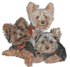 Yorkshire Terrier Yorkie Magnet Wooden