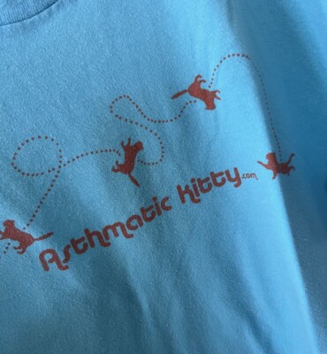 Sufjan Stevens   Asthmatic Kitty Records Blue Unisex T Short Size S