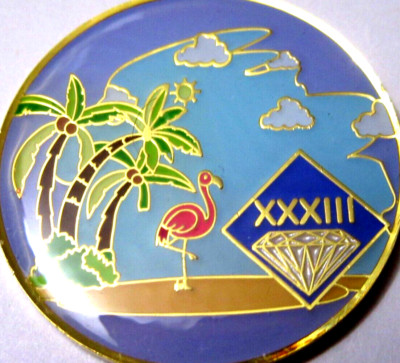 Beach Blue Narcotics Anonymous NA 33 year Medallion Gold purple token coin pink