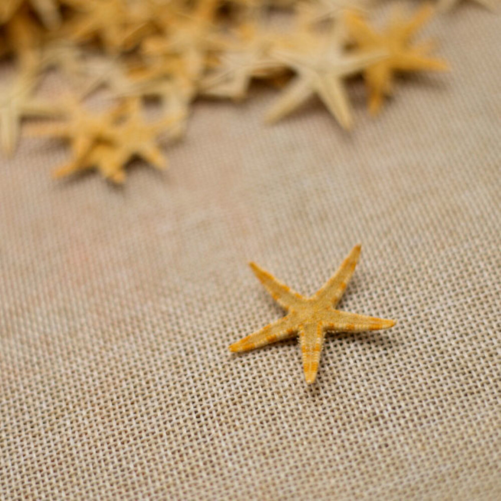 Beach Decor Seashell Mirror - Nautical Decor Shell Mirror W Starfish In Natural Oval - Foto 4