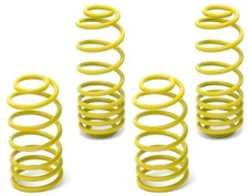 NEUSPEED (by Eibach) *LOW* Race Lowering Springs Acura TSX & 03-07 Honda Accord