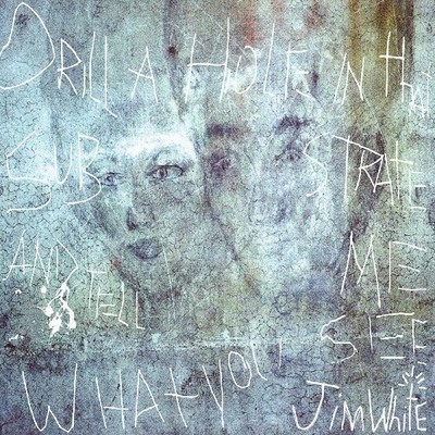 Jim White - Drill A Hole In That Substrate And Tell Me What [New Vinyl LP] Bonus