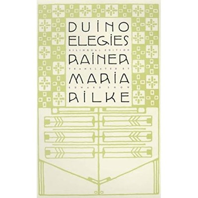 Duino Elegies: eine zweisprachige Ausgabe - NEU Rainer Maria Ri 2001