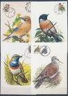 XE59653 Belgium 1989 -1998 Buzin birds maxicards used