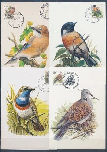 XE59653 Belgium 1989 -1998 Buzin birds maxicards used